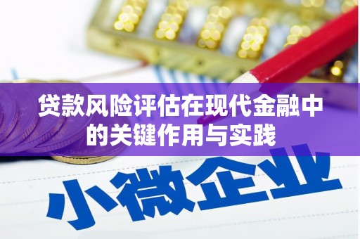 新蔡贷款风险评估在现代金融中的关键作用与实践