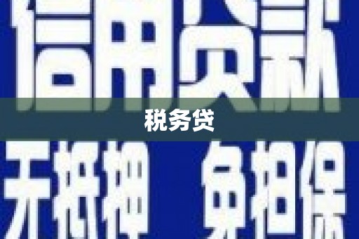 新蔡税务贷