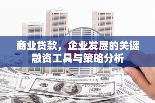 新蔡商业贷款，企业发展的关键融资工具与策略分析