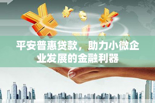 新蔡平安普惠贷款，助力小微企业发展的金融利器