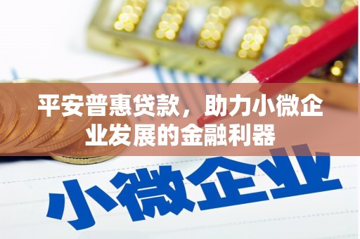 新蔡平安普惠贷款，助力小微企业发展的金融利器