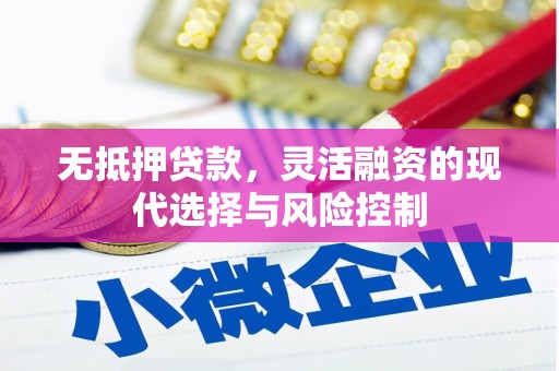 新蔡无抵押贷款，灵活融资的现代选择与风险控制