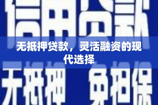 新蔡无抵押贷款，灵活融资的现代选择