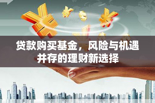 新蔡贷款购买基金，风险与机遇并存的理财新选择