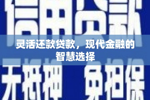 新蔡灵活还款贷款，现代金融的智慧选择