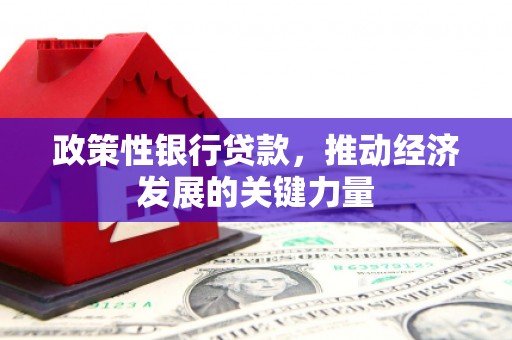 新蔡政策性银行贷款，推动经济发展的关键力量