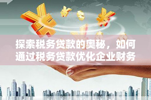 新蔡探索税务贷款的奥秘，如何通过税务贷款优化企业财务