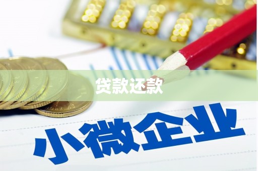 新蔡贷款还款