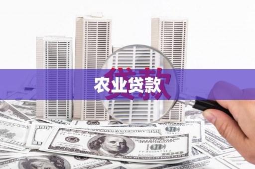 新蔡农业贷款