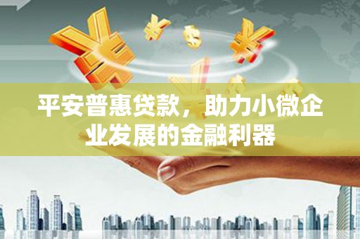 新蔡平安普惠贷款，助力小微企业发展的金融利器