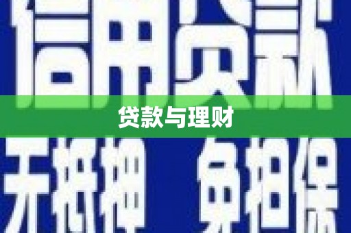 新蔡贷款与理财