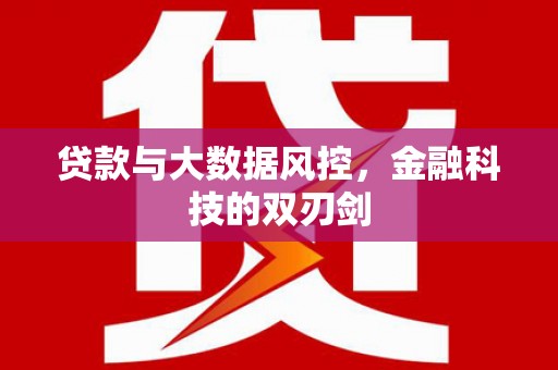 新蔡贷款与大数据风控，金融科技的双刃剑