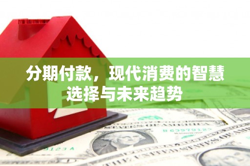 新蔡分期付款，现代消费的智慧选择与未来趋势