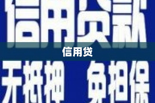 新蔡信用贷
