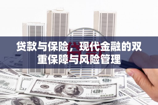 新蔡贷款与保险，现代金融的双重保障与风险管理