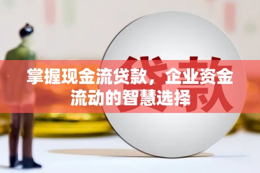 新蔡掌握现金流贷款，企业资金流动的智慧选择