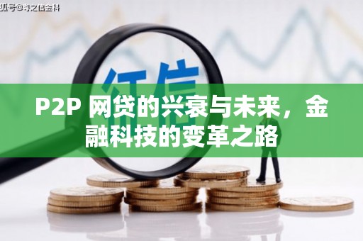 新蔡P2P 网贷的兴衰与未来，金融科技的变革之路