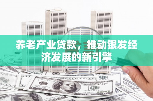 新蔡养老产业贷款，推动银发经济发展的新引擎