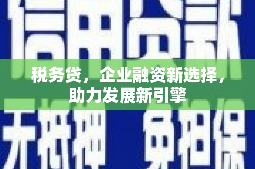 新蔡税务贷，企业融资新选择，助力发展新引擎