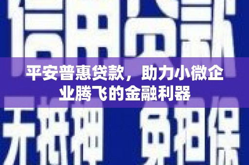 新蔡平安普惠贷款，助力小微企业腾飞的金融利器