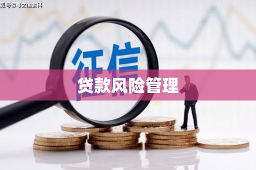 新蔡贷款风险管理