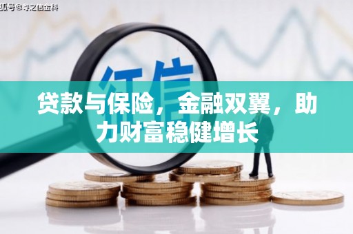 新蔡贷款与保险，金融双翼，助力财富稳健增长