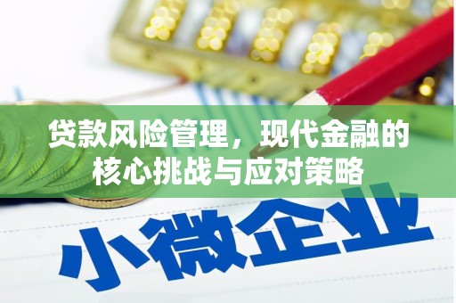 新蔡贷款风险管理，现代金融的核心挑战与应对策略