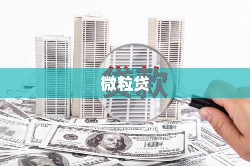 新蔡微粒贷