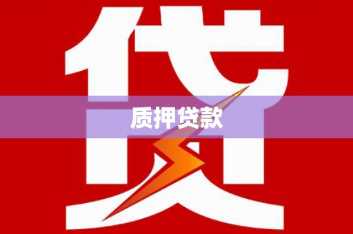 新蔡质押贷款