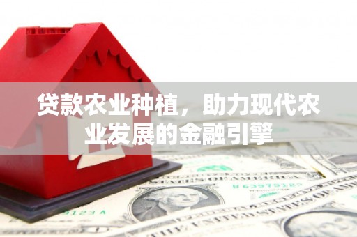 新蔡贷款农业种植，助力现代农业发展的金融引擎