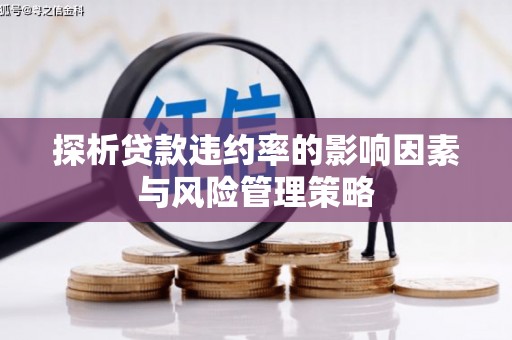 新蔡探析贷款违约率的影响因素与风险管理策略