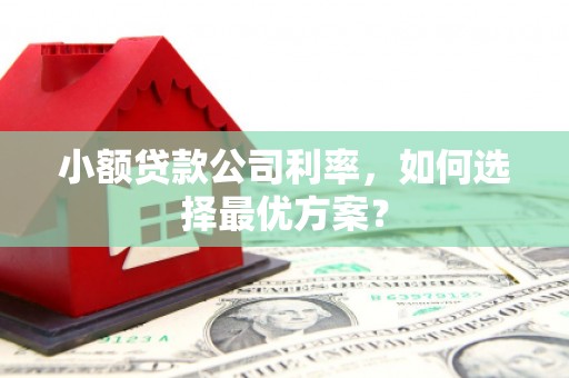 新蔡小额贷款公司利率，如何选择最优方案？