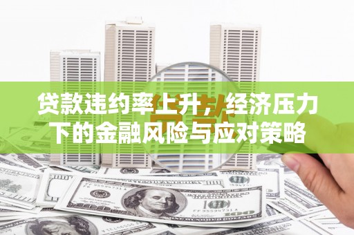 新蔡贷款违约率上升，经济压力下的金融风险与应对策略