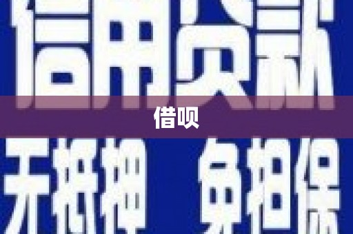 新蔡借呗