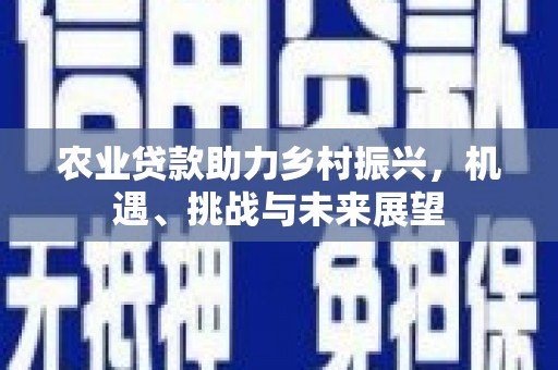 新蔡农业贷款助力乡村振兴，机遇、挑战与未来展望