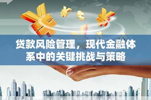 新蔡贷款风险管理，现代金融体系中的关键挑战与策略