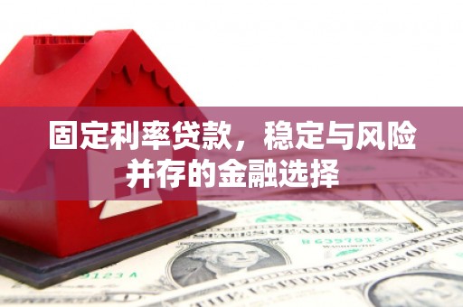 新蔡固定利率贷款，稳定与风险并存的金融选择