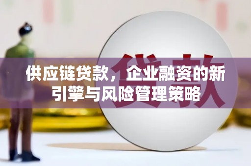 新蔡供应链贷款，企业融资的新引擎与风险管理策略