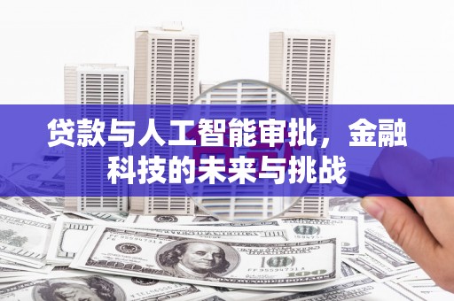 新蔡贷款与人工智能审批，金融科技的未来与挑战