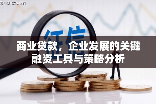 新蔡商业贷款，企业发展的关键融资工具与策略分析