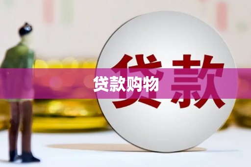 新蔡贷款购物