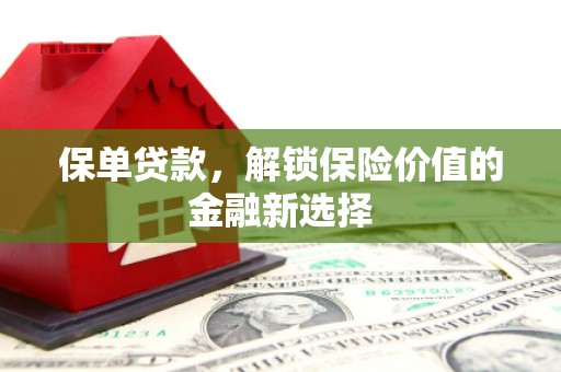新蔡保单贷款，解锁保险价值的金融新选择
