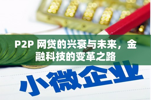 新蔡P2P 网贷的兴衰与未来，金融科技的变革之路