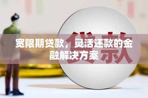 新蔡宽限期贷款，灵活还款的金融解决方案