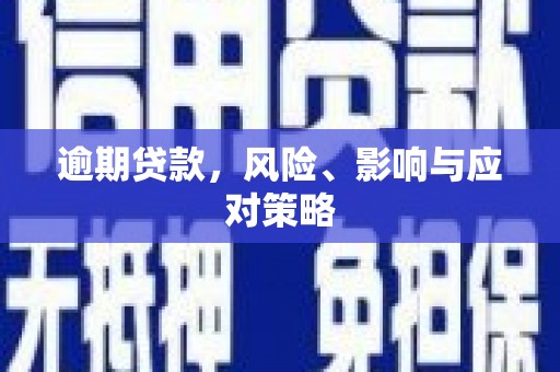 新蔡逾期贷款，风险、影响与应对策略