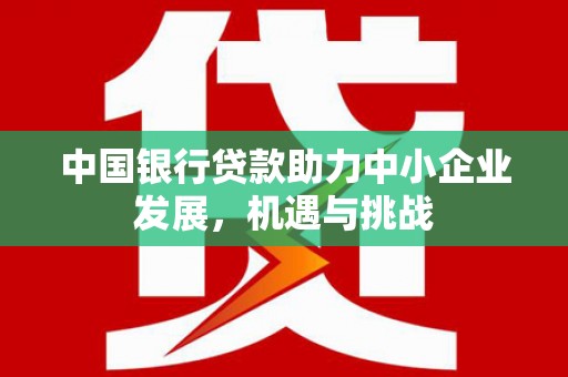新蔡中国银行贷款助力中小企业发展，机遇与挑战