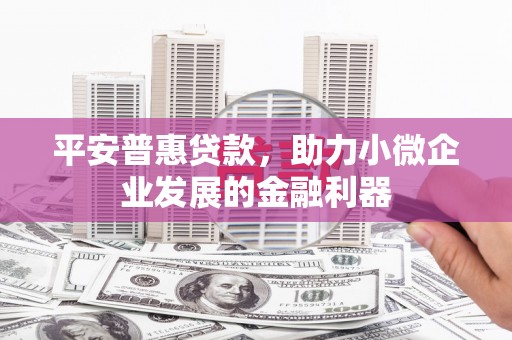 新蔡平安普惠贷款，助力小微企业发展的金融利器