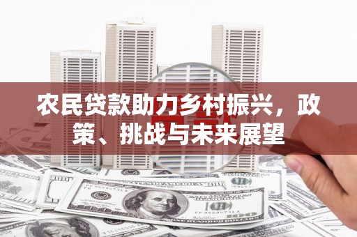 新蔡农民贷款助力乡村振兴，政策、挑战与未来展望