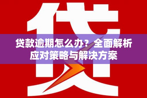 新蔡贷款逾期怎么办？全面解析应对策略与解决方案