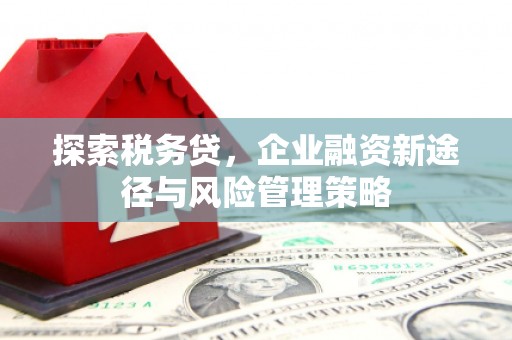 新蔡探索税务贷，企业融资新途径与风险管理策略